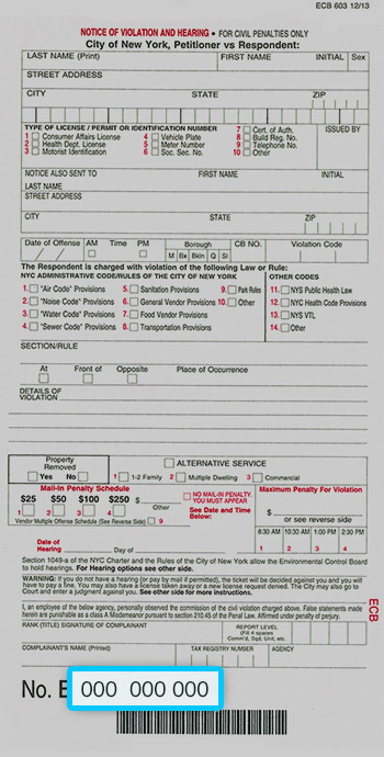 ECB Ticket Sample